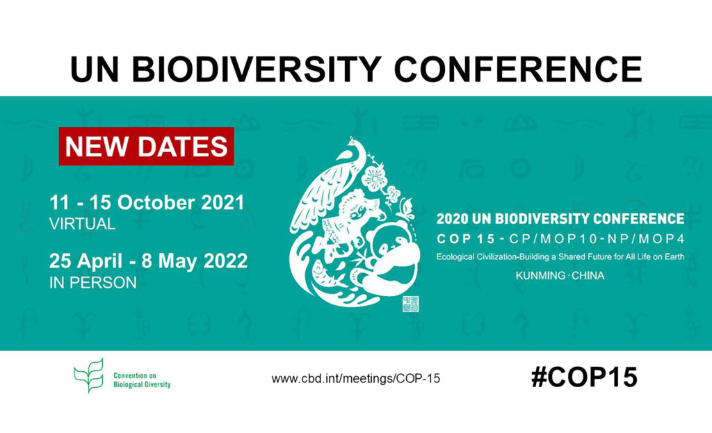 UN Biodiversity Conference (COP 15) / Second part GEN Global